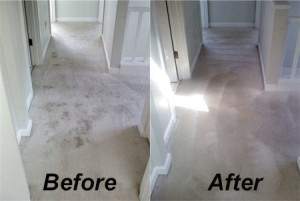 Carpet Cleaning Tecumseh