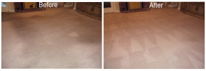 Carpet Cleaning Tecumseh