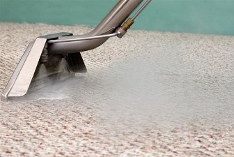 Steam Carpet Cleaning Process
