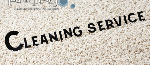 Hiring a Professional Carpet Cleaner – What you Should Know.