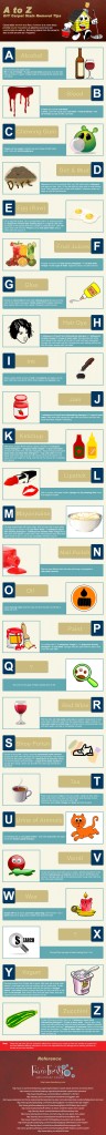 Carpet Stain Removal Infographic