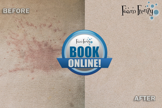 Carpet Cleaning Experts Ontario