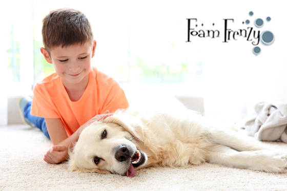 Why Dry Foam is the Best Carpet Cleaning Method