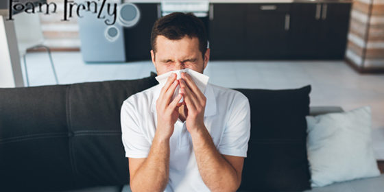 Upholstery Cleaner in Windsor, Ontario