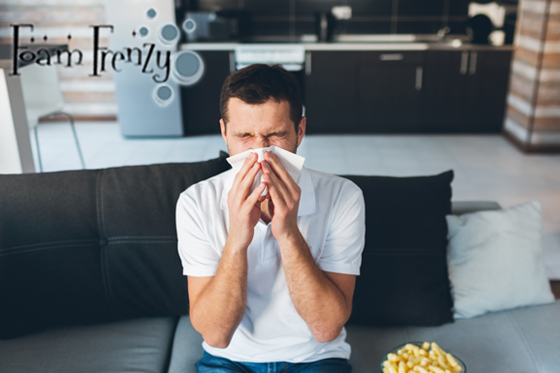 Upholstery Cleaner in Windsor, Ontario