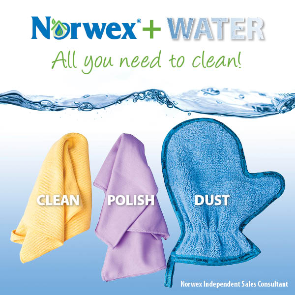 Norwex Cleaning Products Windsor - Norwex Cloth Cleaner Essex County